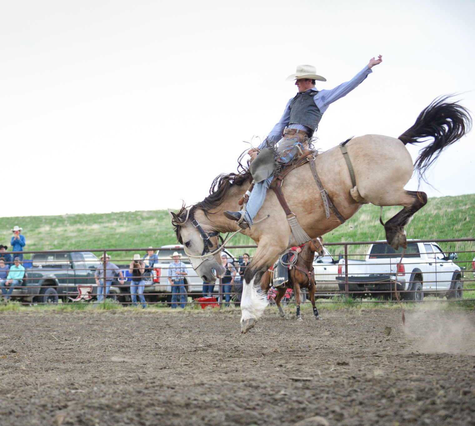 Joliet drive-in rodeo